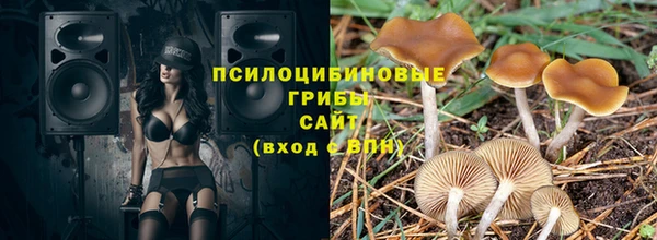 тгк Сатка