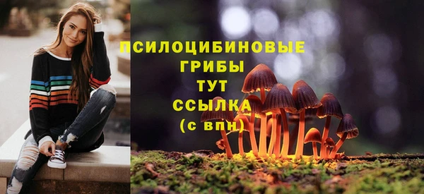 гидропоника Семёнов